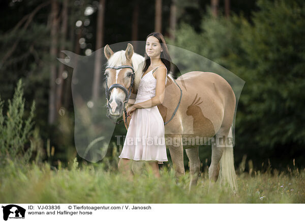 woman and Haflinger horse / VJ-03836