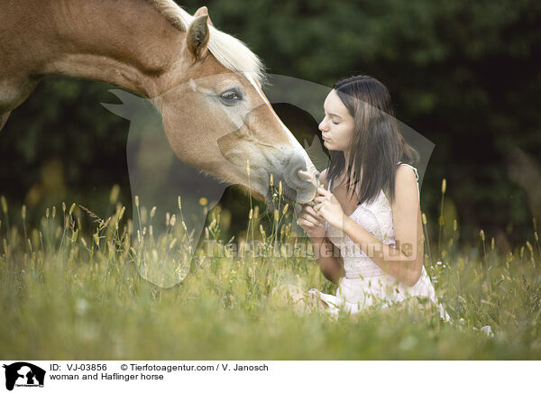Frau und Haflinger / woman and Haflinger horse / VJ-03856