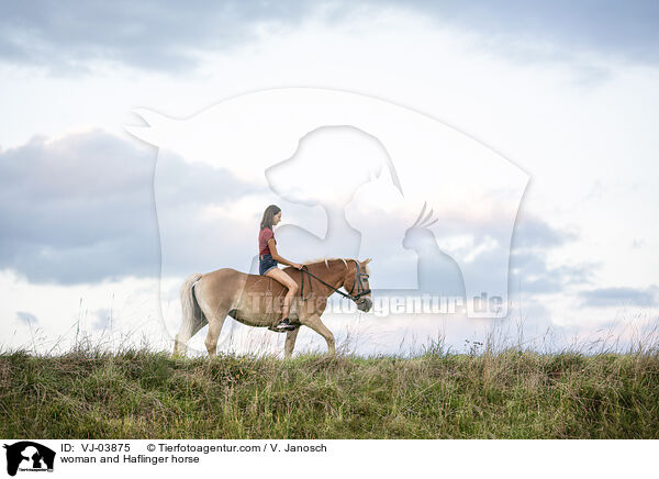 woman and Haflinger horse / VJ-03875