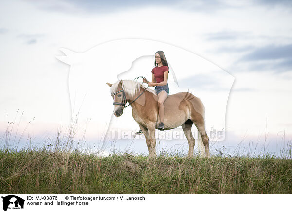 woman and Haflinger horse / VJ-03876