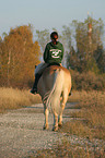 woman rides haflinger horse