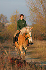 woman rides haflinger horse