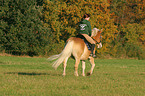 woman rides haflinger horse