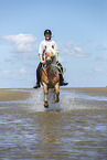 woman rides Haflinger Horse