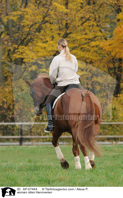 woman rides Hanoverian / AP-07464