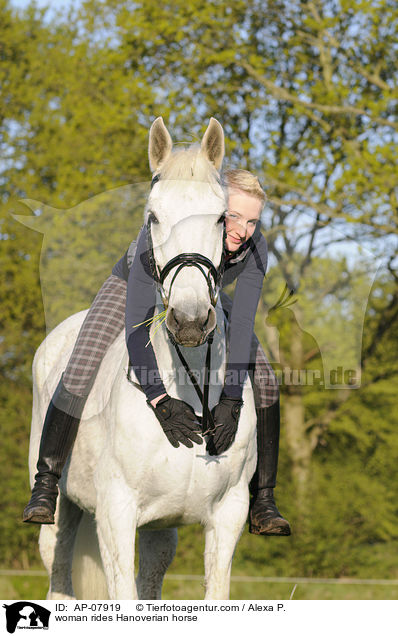 woman rides Hanoverian horse / AP-07919