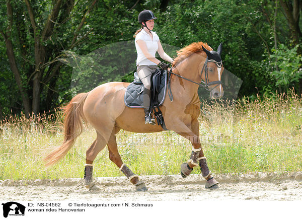 Frau reitet Hannoveraner / woman rides Hanoverian / NS-04562