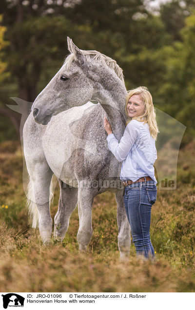 Hanoverian Horse with woman / JRO-01096