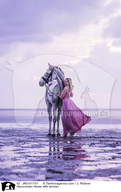 Hanoverian Horse with woman / JRO-01101