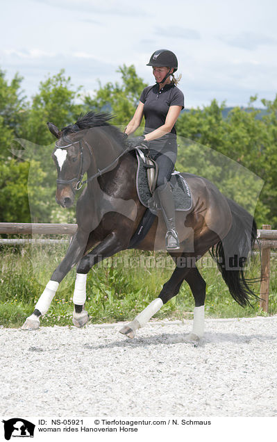 woman rides Hanoverian Horse / NS-05921