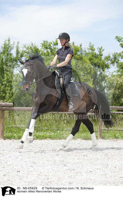 woman rides Hanoverian Horse / NS-05929