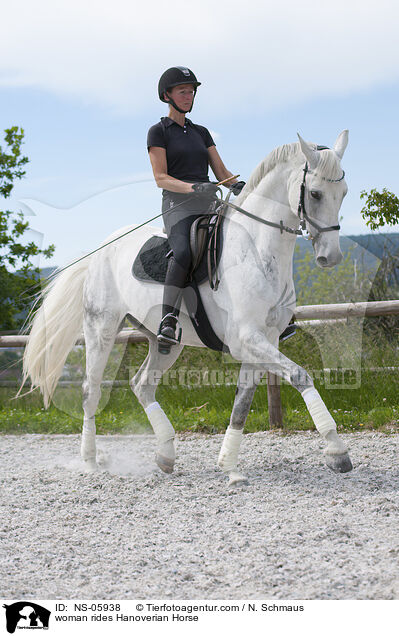 woman rides Hanoverian Horse / NS-05938