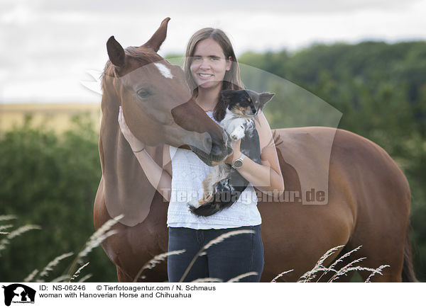 woman with Hanoverian Horse and Chihuahua / NS-06246
