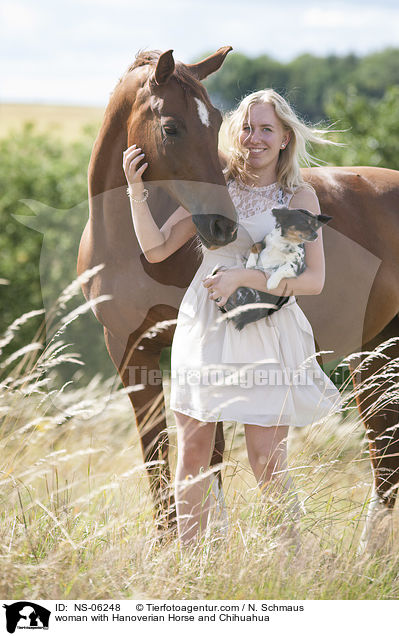 woman with Hanoverian Horse and Chihuahua / NS-06248