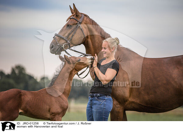 woman with Hanoverian and foal / JRO-01258