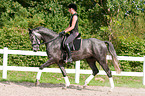 woman rides Hanoverian horse