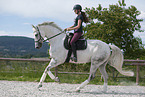 young woman rides Hanoverian Horse