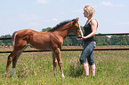 woman and Holsteiner horse foal
