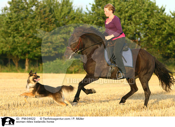 woman rides Icelandic horse / PM-04622