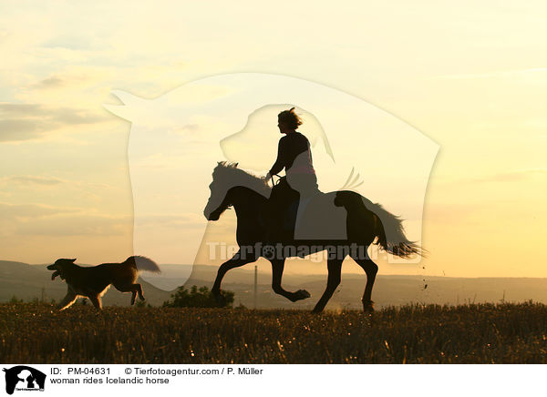 Frau reitet Islnder / woman rides Icelandic horse / PM-04631