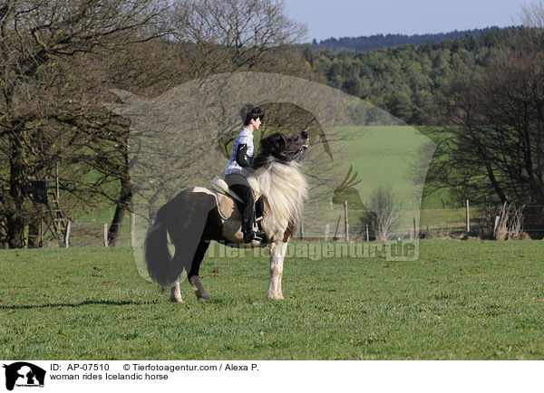 woman rides Icelandic horse / AP-07510