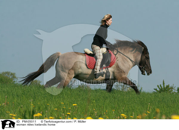 woman rides Icelandic horse / PM-05011