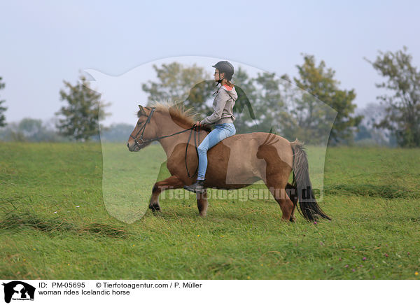 Frau reitet Islnder / woman rides Icelandic horse / PM-05695