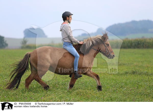 Frau reitet Islnder / woman rides Icelandic horse / PM-05698