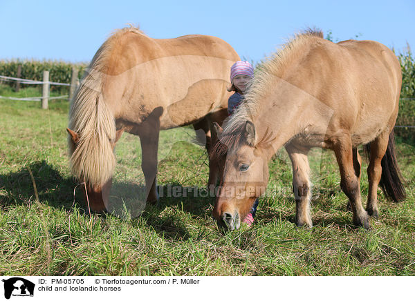 Kind und Islnder / child and Icelandic horses / PM-05705