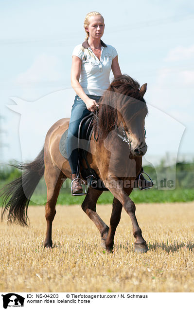 Frau reitet Islnder / woman rides Icelandic horse / NS-04203