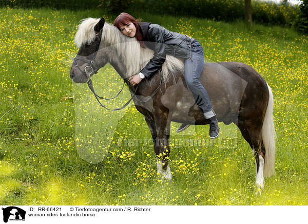 Frau reitet Islnder / woman rides Icelandic horse / RR-66421