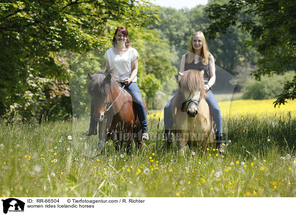 Frauen reiten Islnder / women rides Icelandic horses / RR-66504