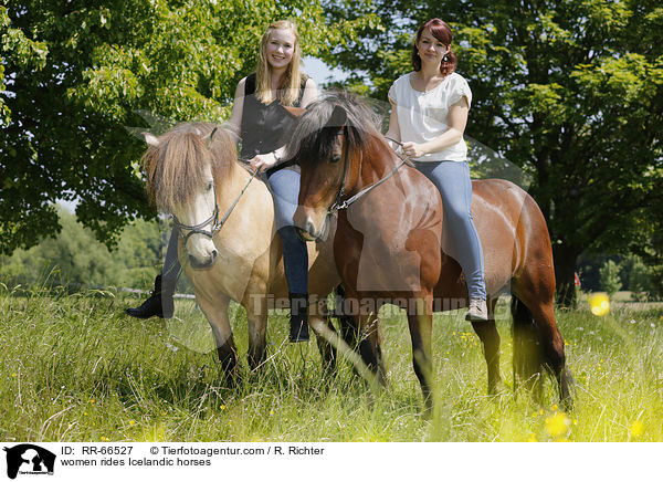 Frauen reiten Islnder / women rides Icelandic horses / RR-66527