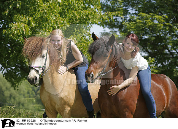 Frauen reiten Islnder / women rides Icelandic horses / RR-66528