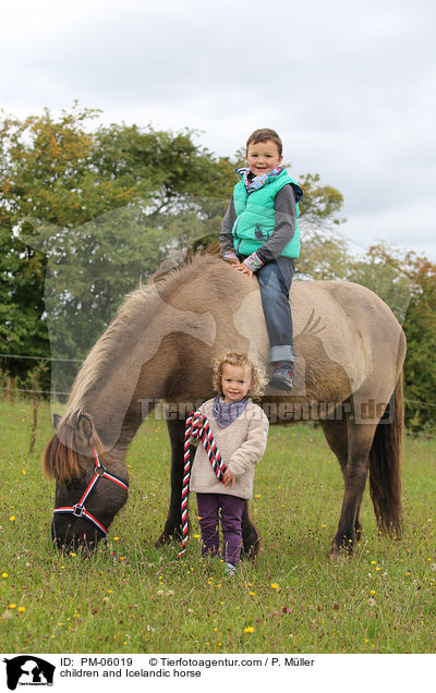Kinder und Islnder / children and Icelandic horse / PM-06019