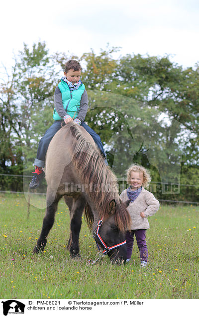 Kinder und Islnder / children and Icelandic horse / PM-06021