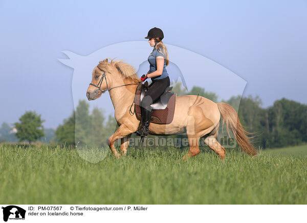 Reiterin auf Islnder / rider on Icelandic horse / PM-07567