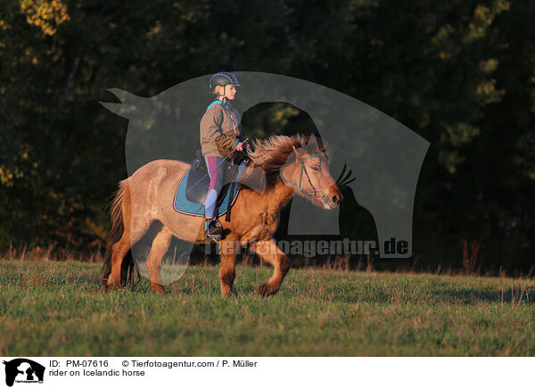 Reiterin auf Islnder / rider on Icelandic horse / PM-07616