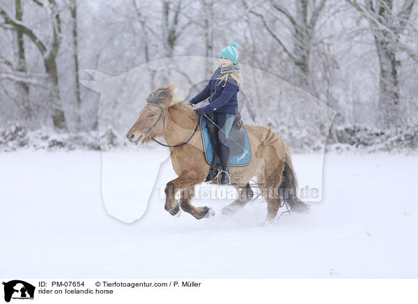 Reiterin auf Islnder / rider on Icelandic horse / PM-07654
