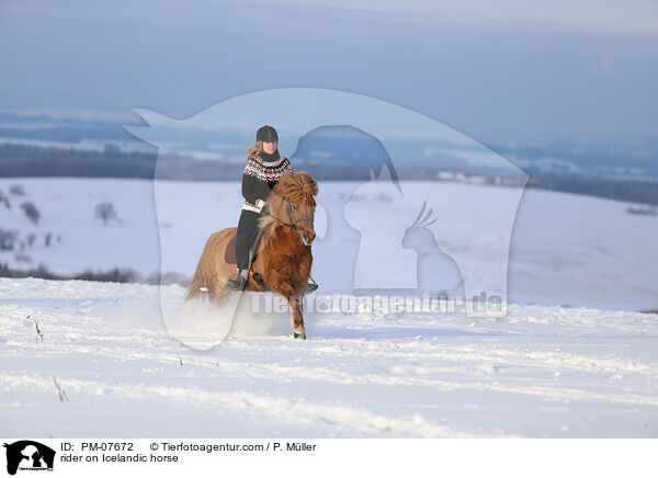 Reiterin auf Islnder / rider on Icelandic horse / PM-07672