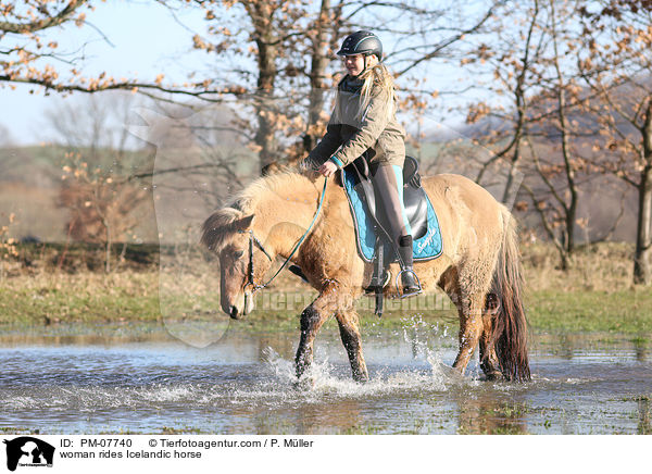 Frau reitet Islnder / woman rides Icelandic horse / PM-07740