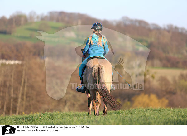 Frau reitet Islnder / woman rides Icelandic horse / PM-07804