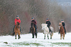 riding Icelandic horses