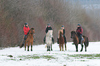 riding Icelandic horses