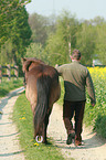 man with Icelandic horse