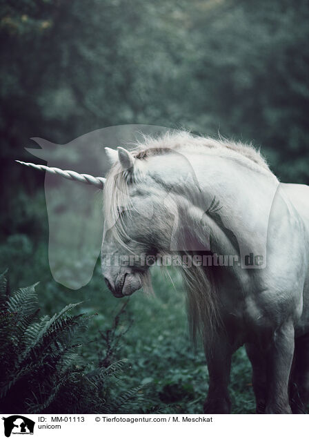 unicorn / MM-01113