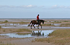 rider on the beach