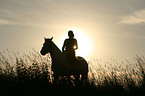 woman with horse at sundown