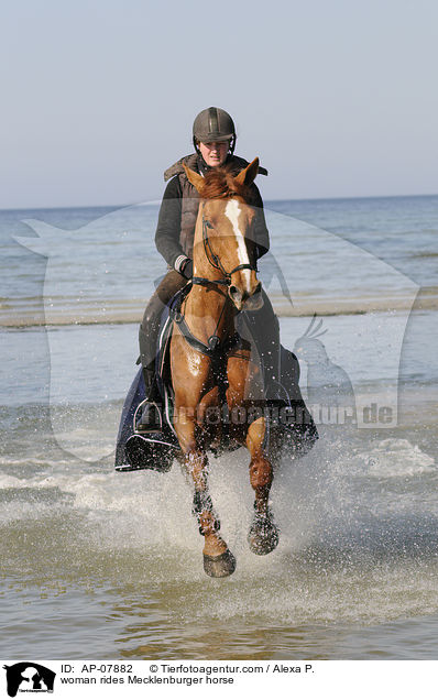 woman rides Mecklenburger horse / AP-07882