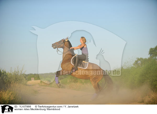 woman rides Mecklenburg Warmblood / YJ-07866